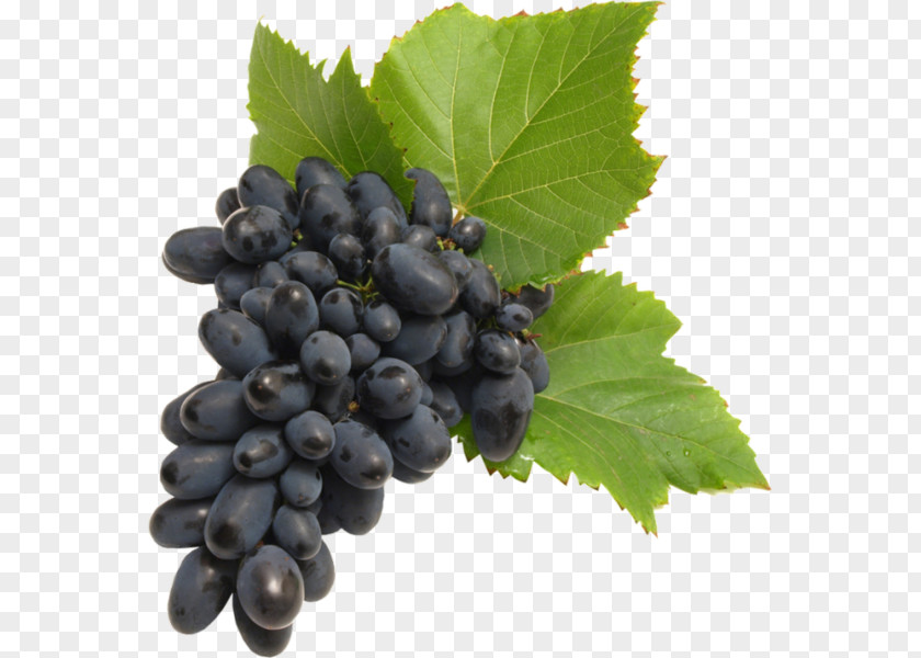 Wine Common Grape Vine Seedless Fruit Food PNG