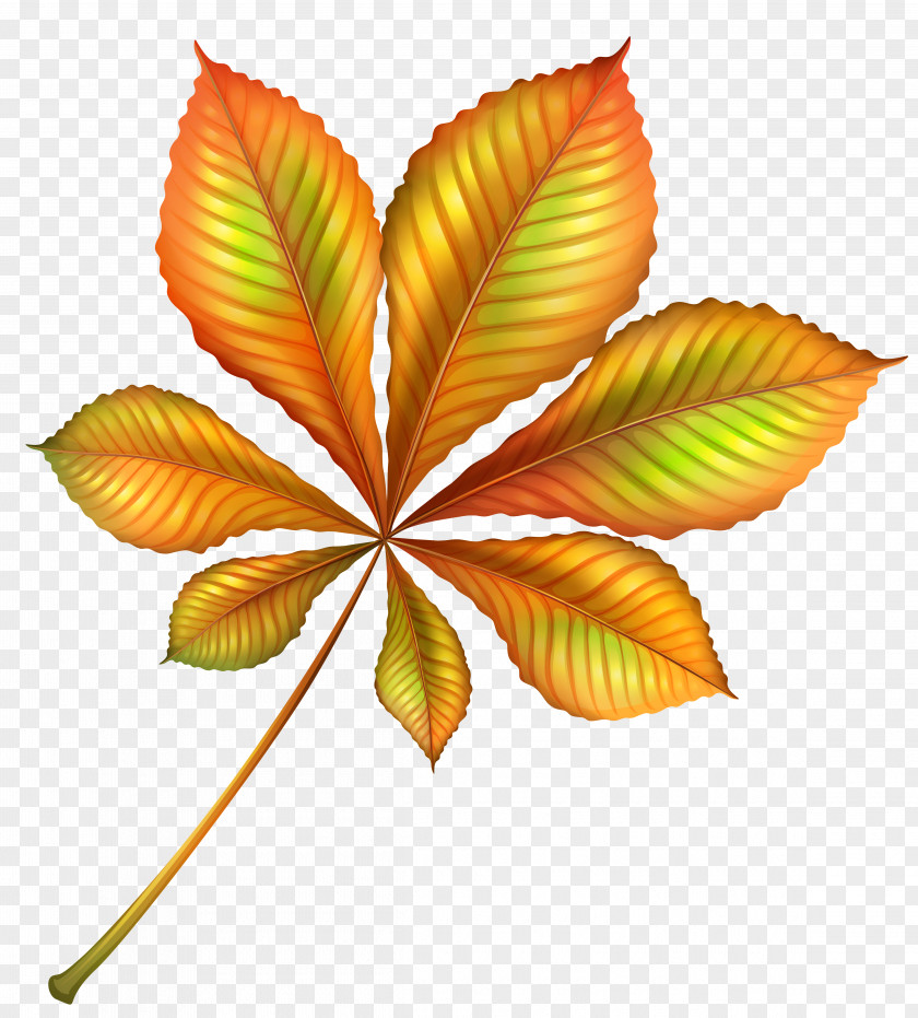 Beautiful Autumn Orange Leaf Clipart Image PNG