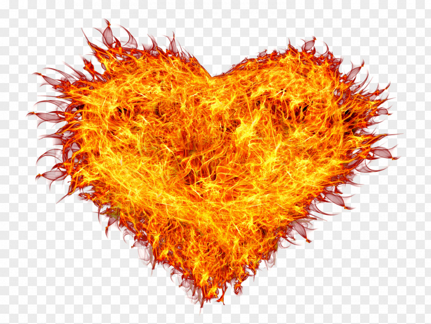 Fire Heart Flame Combustion PNG