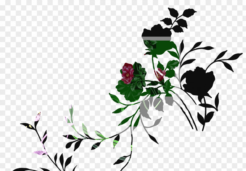Floral Design Clip Art Image Moutan Peony PNG