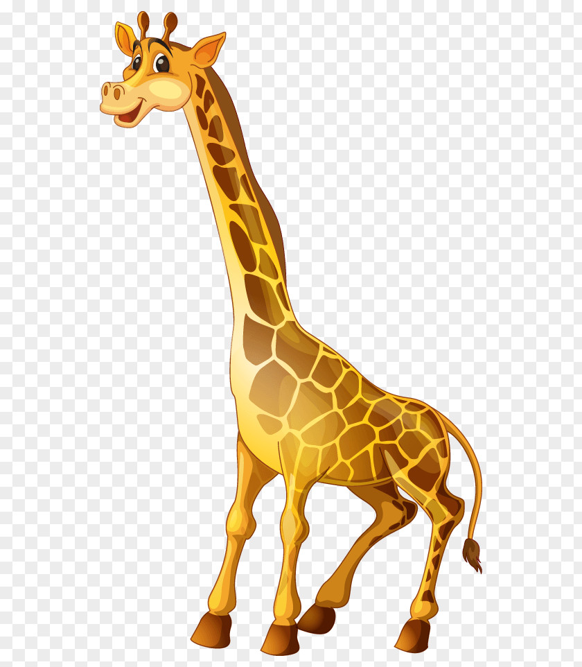 Giraffe Baby Giraffes Cartoon PNG