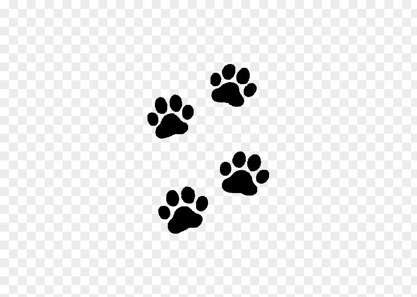 PATAS Dog Bear Animal Track Footprint PNG