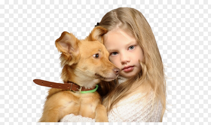 Puppy Dog Breed Child Allah Sevgisi PNG