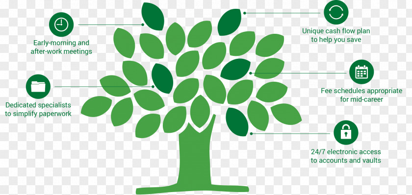 Tree Fruit Video Game Company Wood PNG