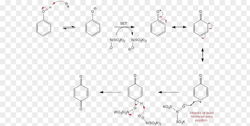 1,4-Benzoquinone Phenols Redox Radical PNG