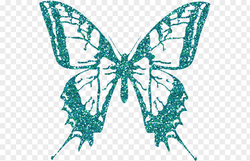 Cynthia Subgenus Papilio Butterfly Stencil PNG