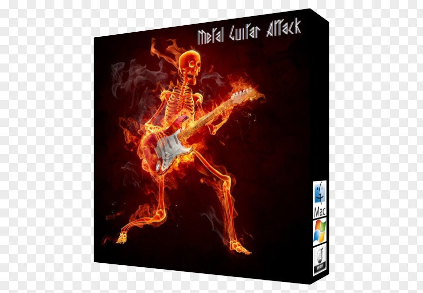 Guitar Physical Human Skeleton Skull PNG