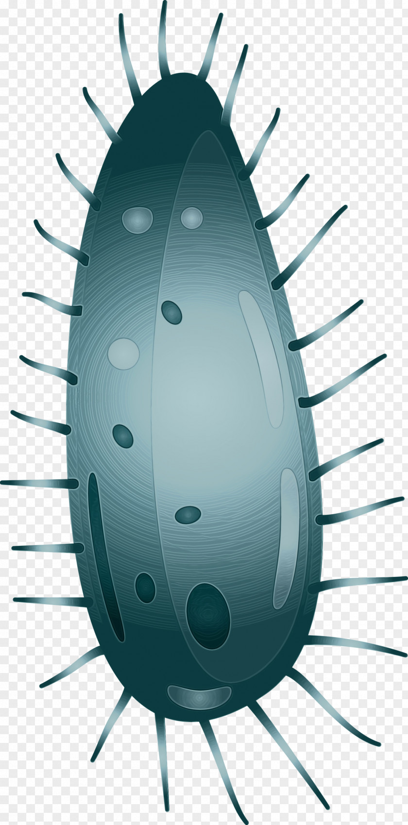 Insect Cockroach Pest Metal PNG