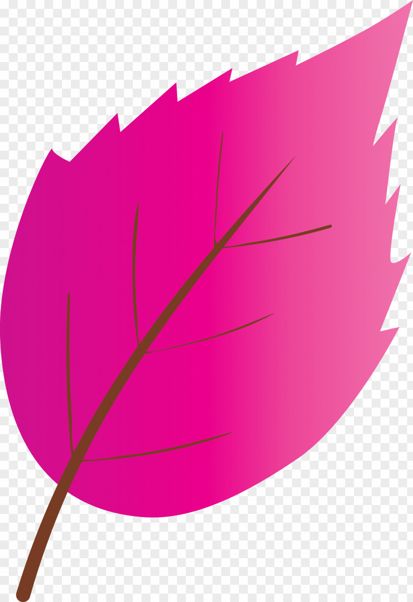 Leaf Pink Magenta Plant Tree PNG