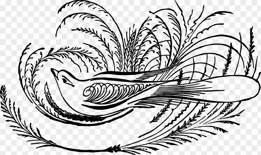 Whit Monday Bird Akhir Pekan Art Drawing Calligraphy Illustration Design PNG