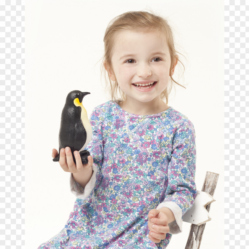 Bird Stuffed Animals & Cuddly Toys Toddler Wool Flightless PNG