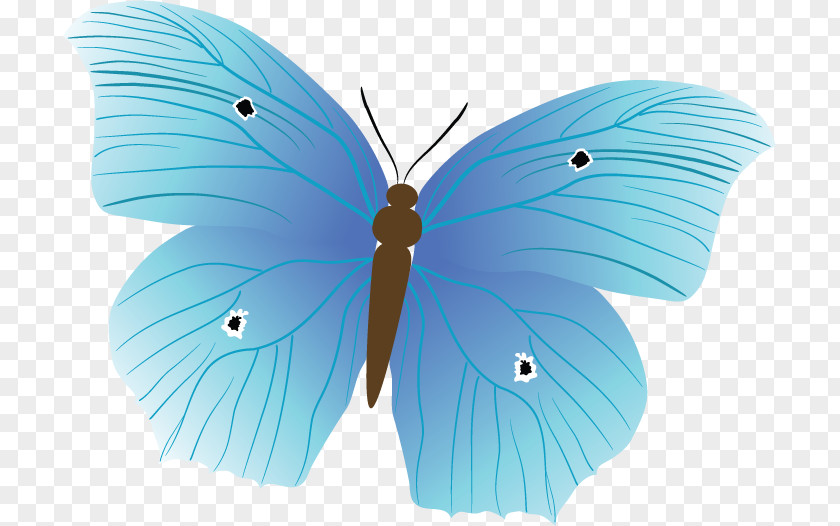 Butterfly Brush-footed Butterflies Insect Gossamer-winged Image PNG