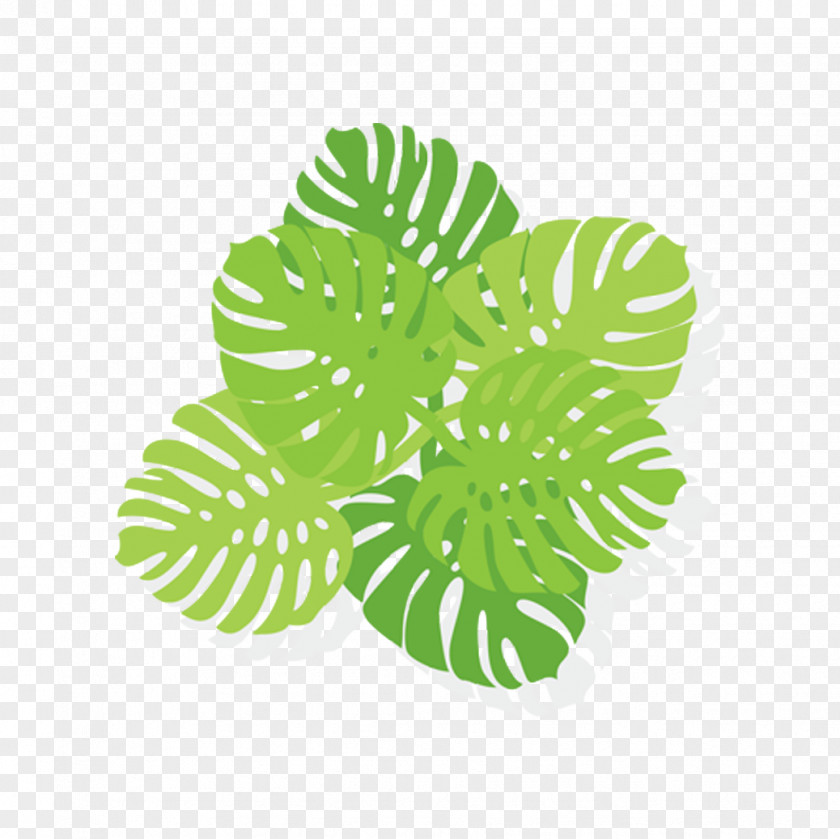Cartoon Green Leaf Leaves Bush Shrub Computer File PNG