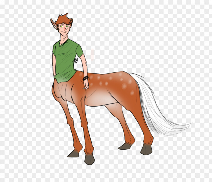 Centaur Mustang Stallion Pony Colt Pack Animal PNG