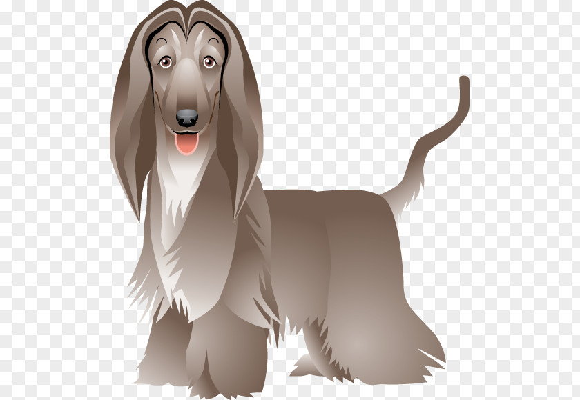 Dog Breed Maltese Hound Clip Art PNG