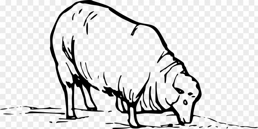 Eating Sheep Grazing Clip Art PNG