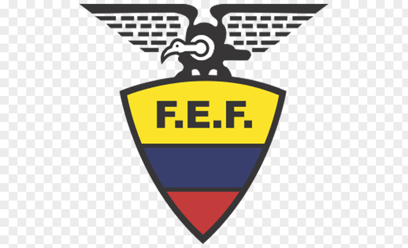 Football Ecuador National Team Argentina 2014 FIFA World Cup Copa América Centenario PNG