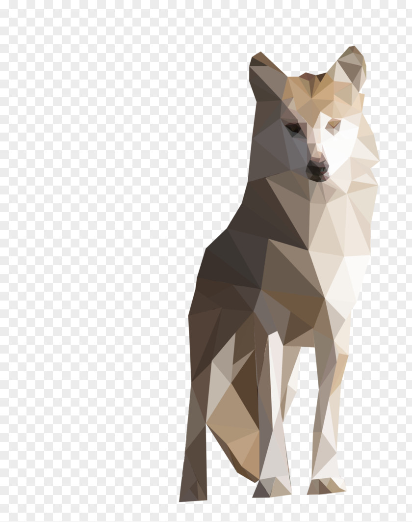Painting Gray Wolf Low Poly Dog Breed Art Illustration PNG