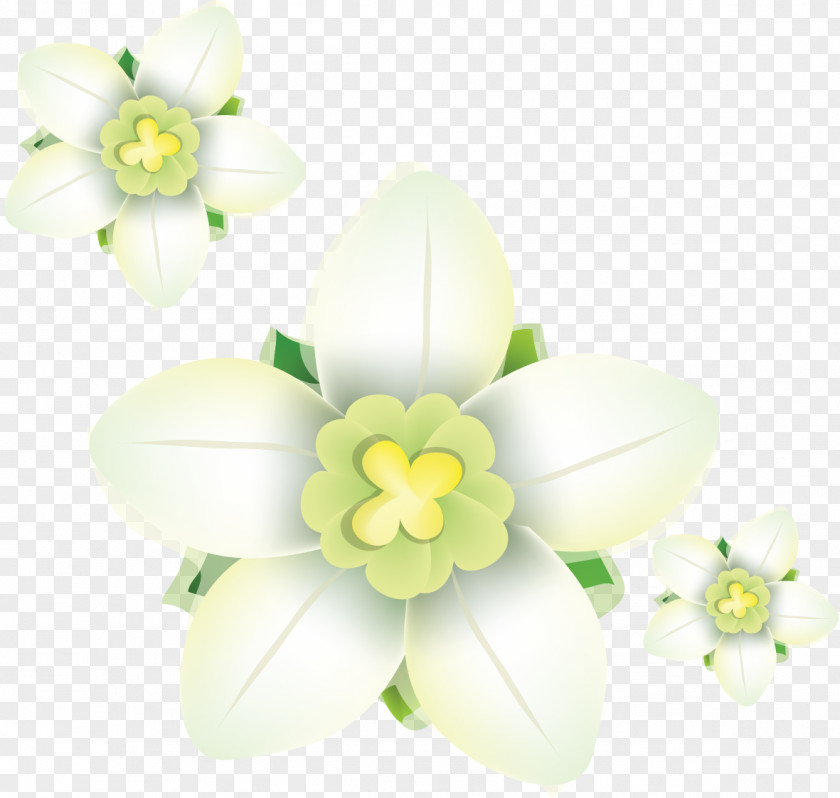 Tulip Daffodil Petal Clip Art PNG