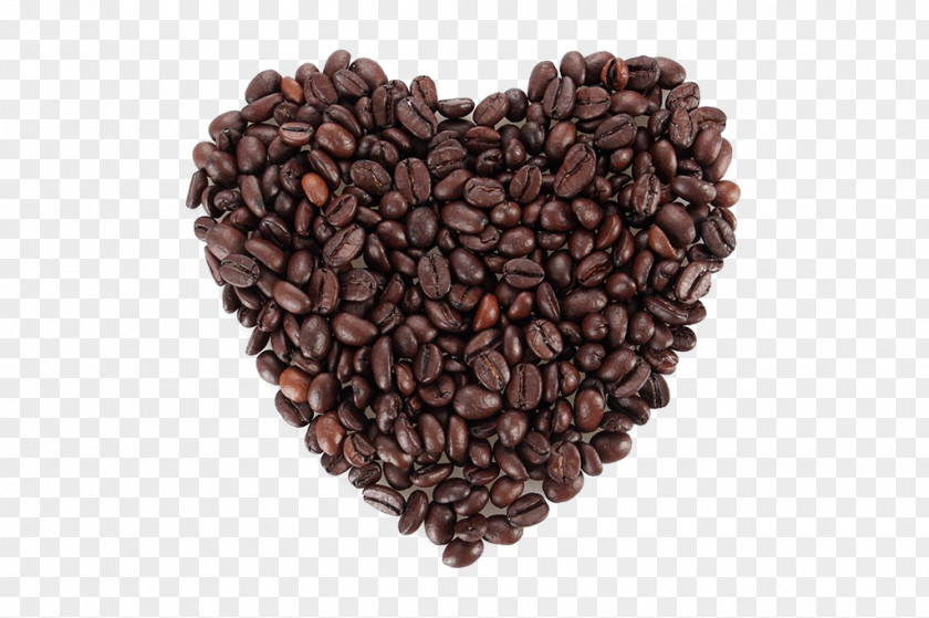 Coffee Beans Jamaican Blue Mountain Cafe Bean Cocoa PNG