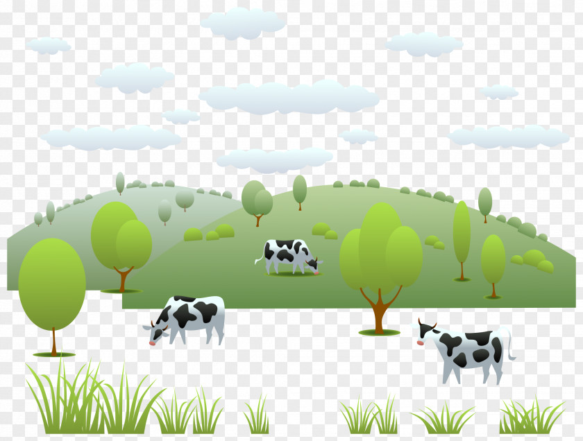 Dairy Cow Pasture Vector Limousin Cattle Holstein Friesian Beef Sheep PNG