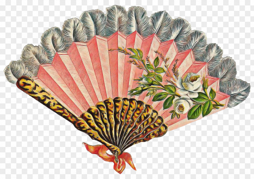 Decorative Fan Hand Scallop Home Appliance PNG
