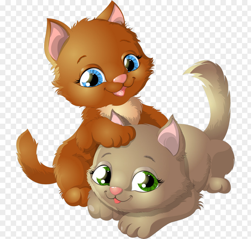 Kitten Cat Puppy Cuteness PNG