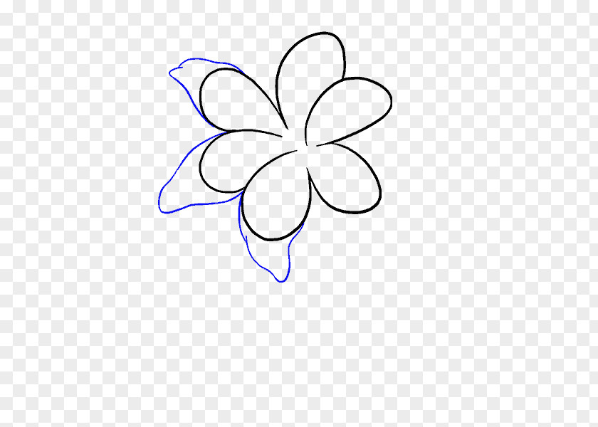 Lily Drawing Line Art Pencil Clip PNG