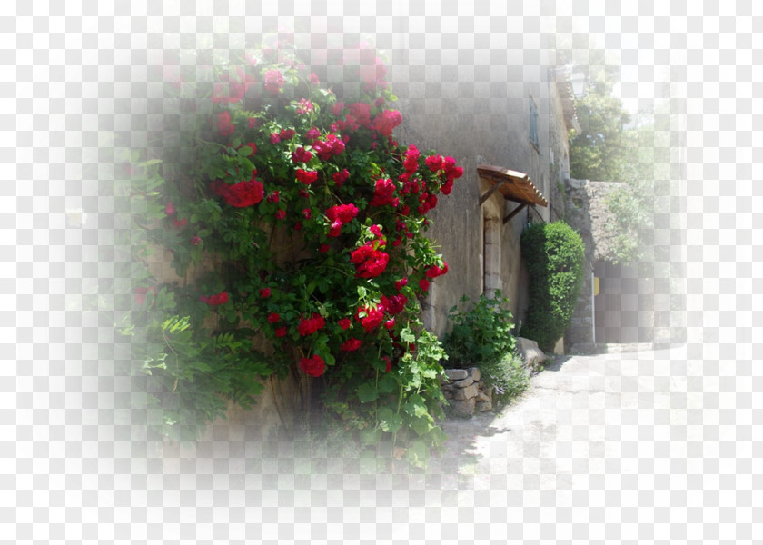 Middle Ages Garden Roses Chateau De Bargeme City History PNG