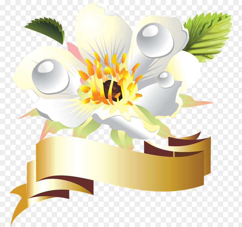 QQ Floral Design Product Cut Flowers PNG