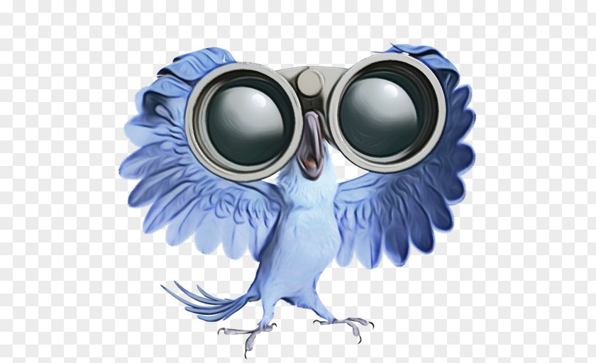 Snowy Owl Eye Glasses PNG