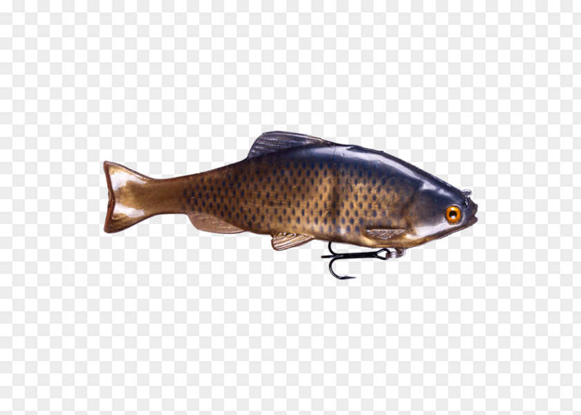 Tricolor Carp Spoon Lure Common Rudd Herring Fish PNG