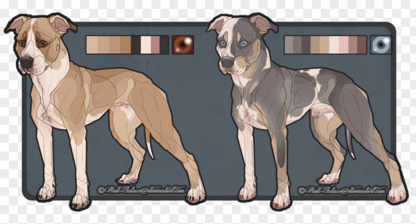 American Staffordshire Terrier Pit Bull Dog Breed Non-sporting Group PNG