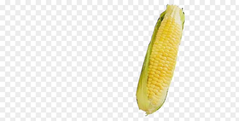 Food Plant Corn On The Cob Sweet Maize Commodity Fruit PNG