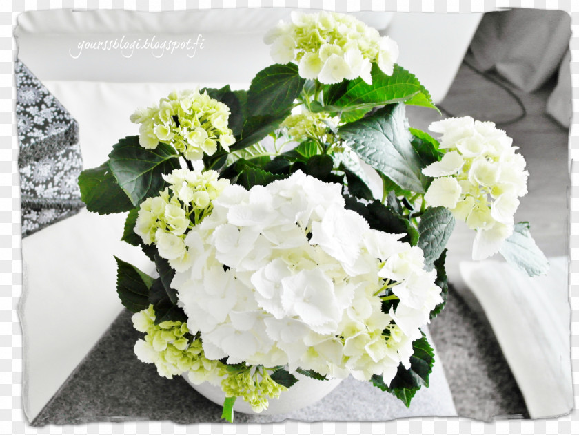 Koppa Hydrangea Cut Flowers Floral Design Flower Bouquet Yours Clothing PNG