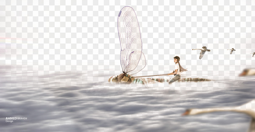 Man Riding A Dragonfly Creative Images Floor Water Sea Wallpaper PNG