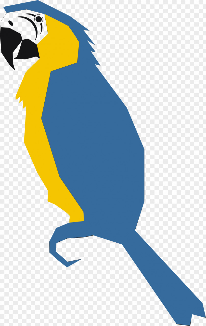 Parrots Bird Macaw Clip Art PNG