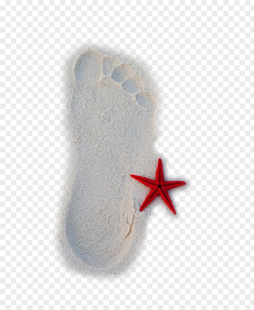 Starfish Beach Footprints Playa De La Arena Sand PNG