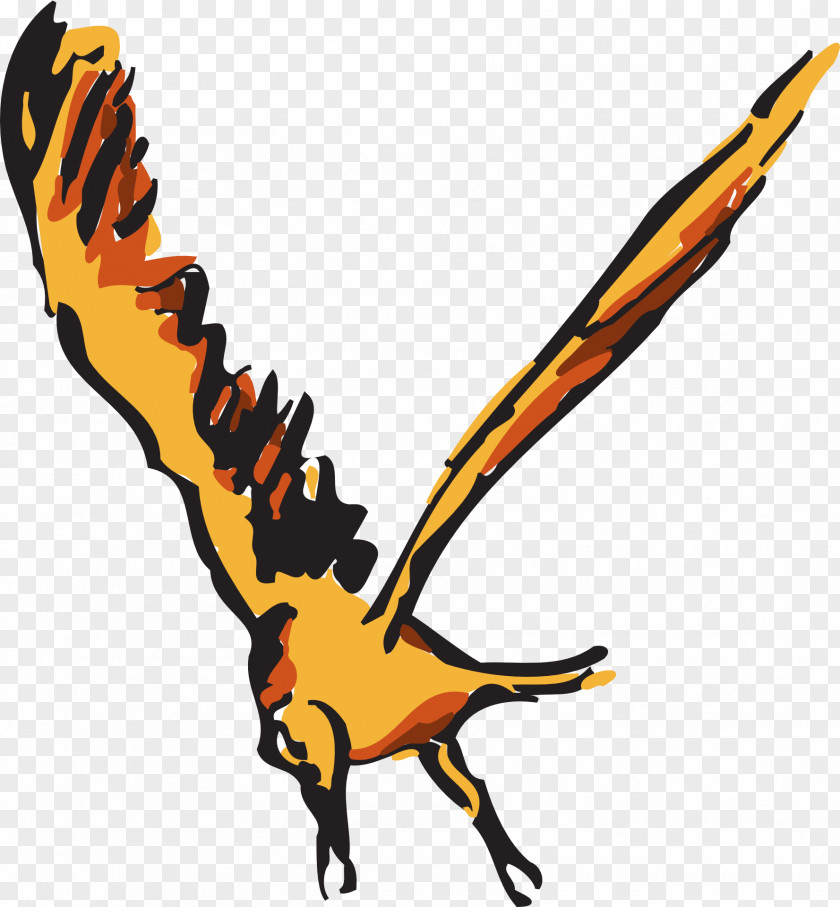 Wing Bird Orange Clip Art PNG