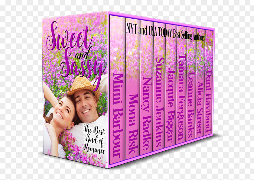 Book Sweet And Sassy: The Best Kind Of Romance Heat: Where Suspense Meet Tea & Sunshine: 9 Deep South Romances Novel Unforgettable Romances: Heroes PNG
