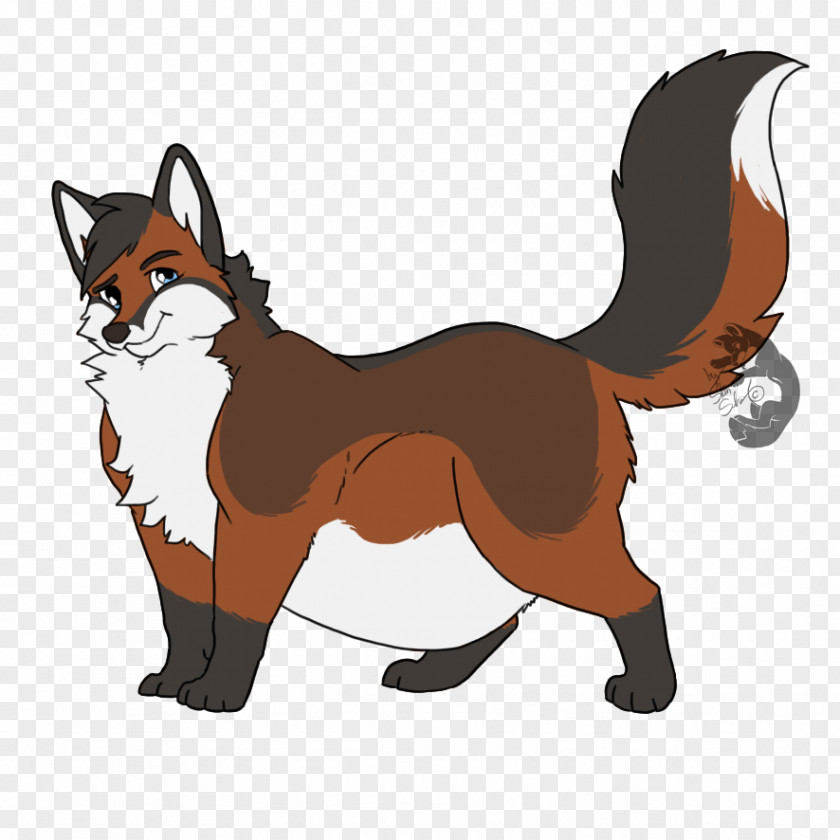 Cat Whiskers Red Fox Feral Dog PNG