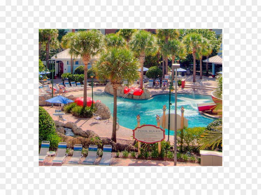 Hotel Walt Disney World Orlando Resort Kissimmee PNG
