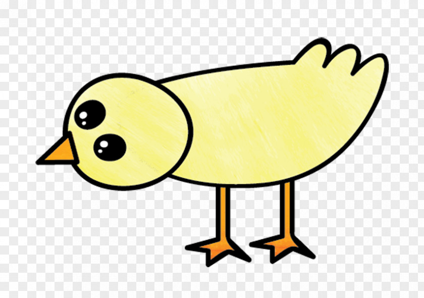 Line Art Bird Yellow Cartoon Beak PNG