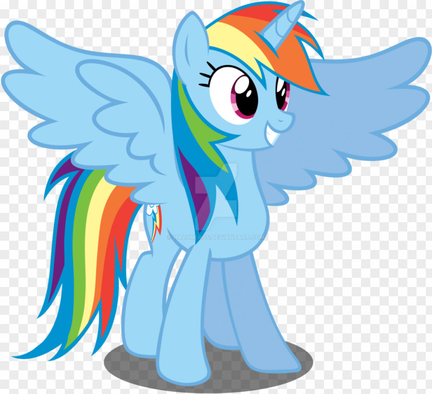 My Little Pony Rainbow Dash Pinkie Pie Twilight Sparkle Rarity PNG