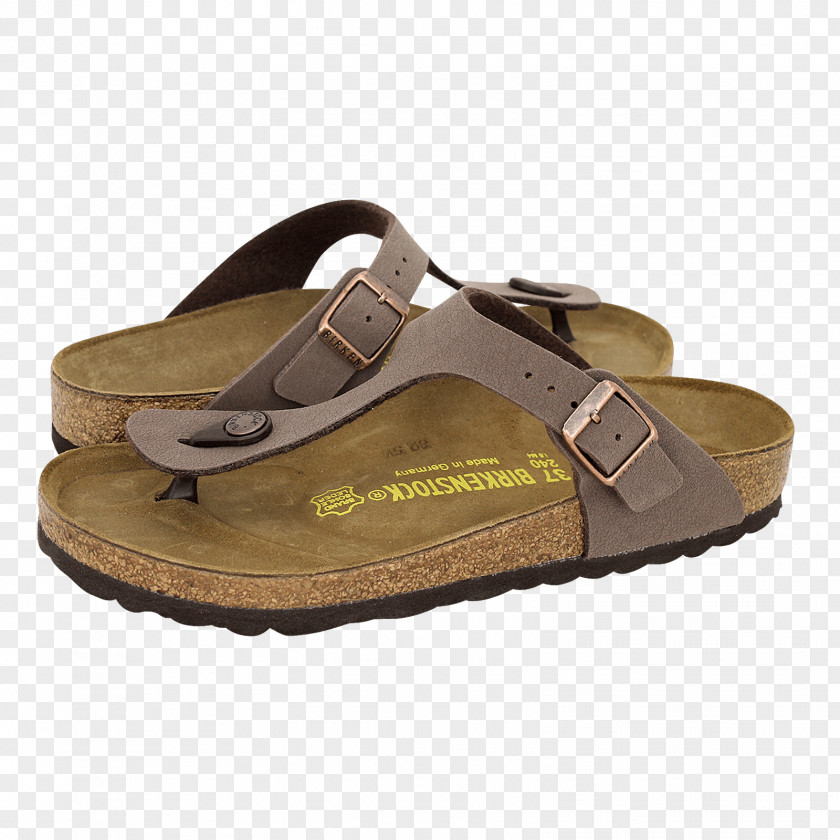 Sandal Flip-flops Slide Shoe Walking PNG