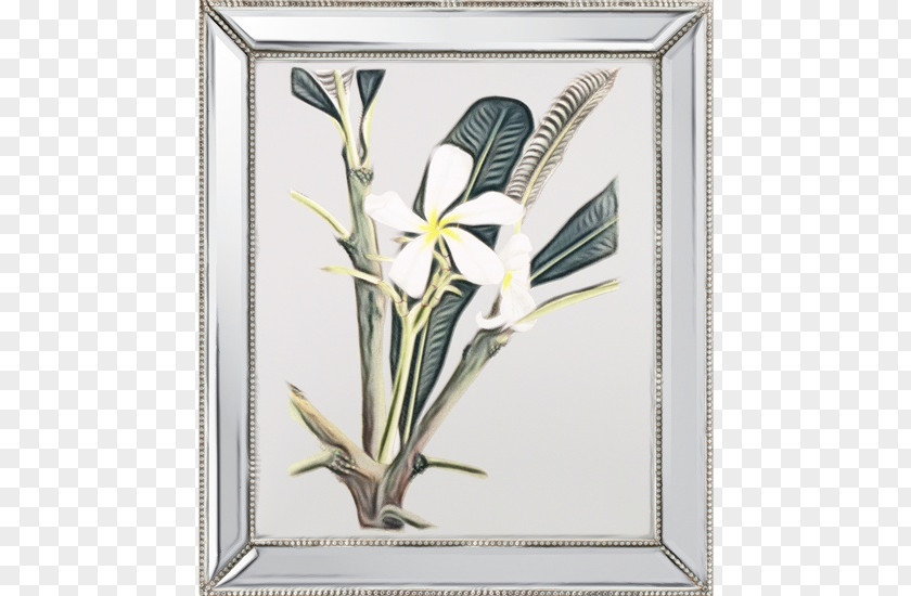 Tray Perennial Plant Watercolor Background Frame PNG