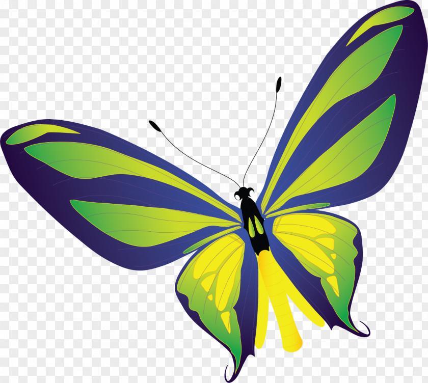 Butterflies Monarch Butterfly Pieridae Clip Art PNG
