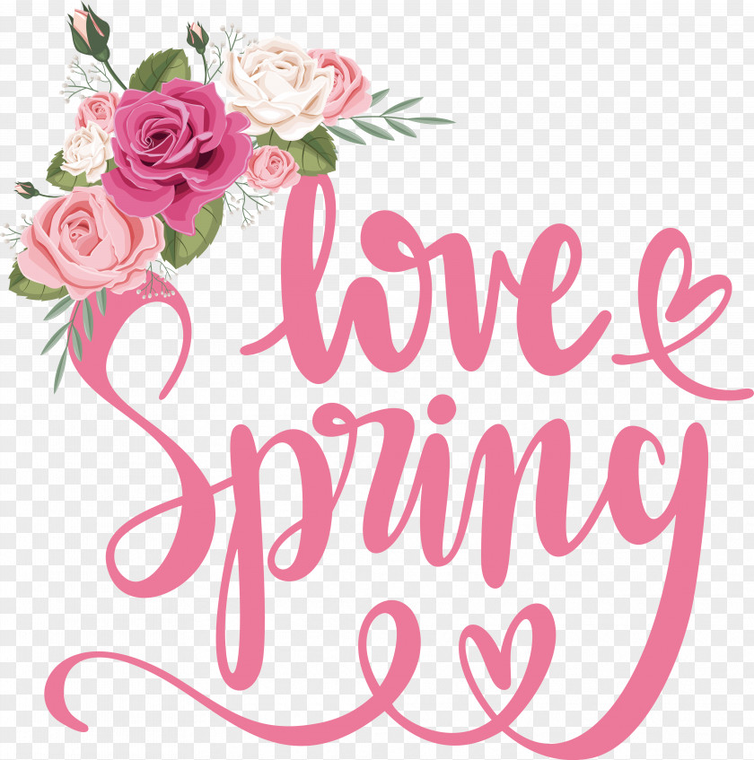 Floral Design PNG