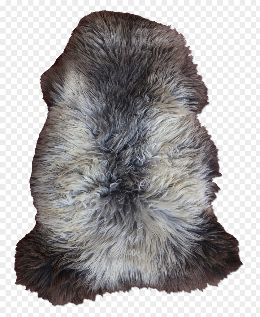 Mouton Fur Snout PNG