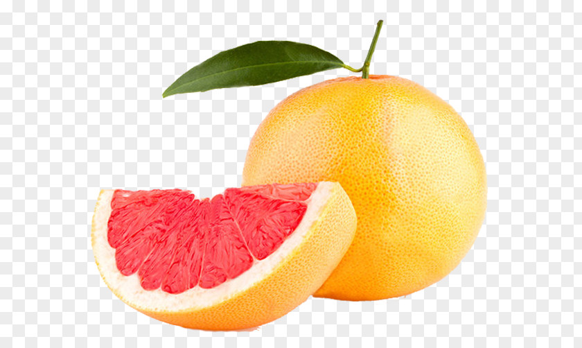 Red Honey Pomelo Fruit Grapefruit Juice Lemon Essential Oil PNG